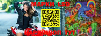 шишки Славгород