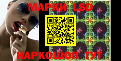 шишки Славгород
