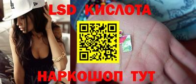 шишки Славгород