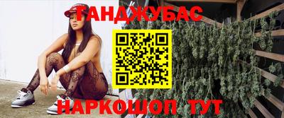 шишки Славгород