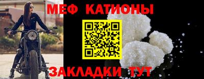 шишки Славгород