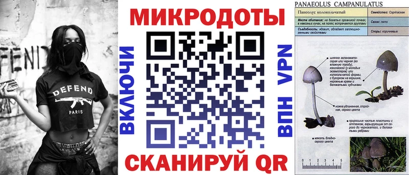 MEGA tor  Петрозаводск  Галлюциногенные грибы MAGIC MUSHROOMS 