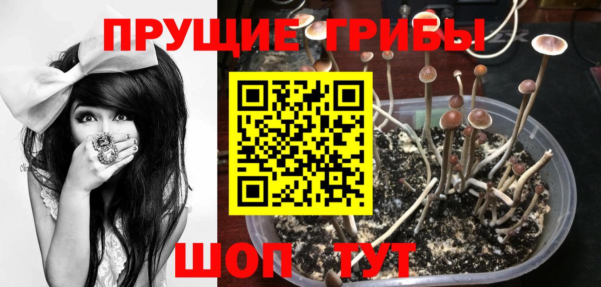 Галлюциногенные грибы Magic Shrooms  Псилоцибиновые грибы мицелий  Вход с VPN  Петрозаводск 