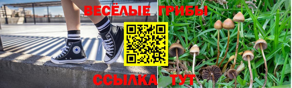 Псилоцибиновые грибы мухоморы Петрозаводск