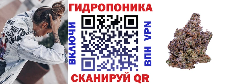 Марихуана тримм  Петрозаводск 
